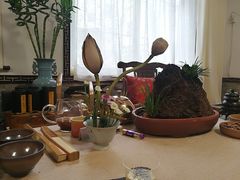 -养心斋涵信茶艺茶道培训