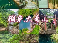 -大奇山国家森林公园