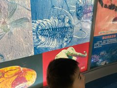 -上海昆虫博物馆