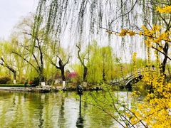 -济南大明湖景区