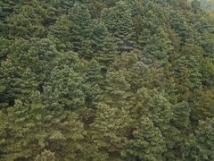 -苍山感通索道