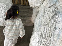 -泉州海丝野生动物世界