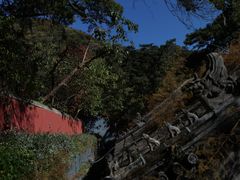 -潭柘寺景区