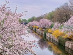 -海棠花溪(元大都城垣遗址公园)