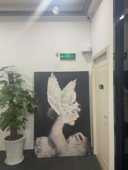 -DEM缔怡美科技美容