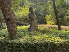 -北极阁公园
