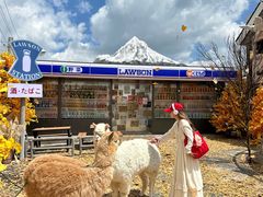 -Blue Concept Cafe&Farm·關於藍