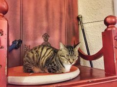 -逃脱反斗城沉浸剧情密室(北京路店)