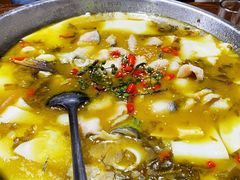 水煮鱼-粗茶淡饭•陕菜•家常菜