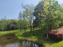 -绍兴镜湖国家城市湿地公园