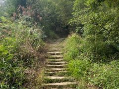 -南山植物园
