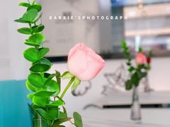 -拾挚扒房(招商花园城店)