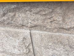 -清真·二嫂子煎饼果子(卫津路总店)
