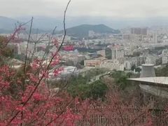-福道