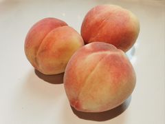 -五谷芳乳鸽王(梅沙老店)