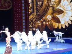 -珠海横琴长隆《卡卡虎奇遇记》