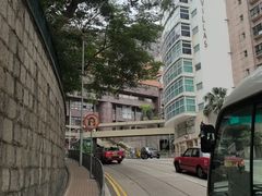 -香港大学