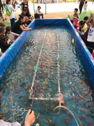 -萌宠亲子动物乐园(槐房万达店)