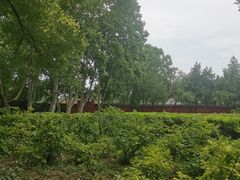 -洛阳白马寺
