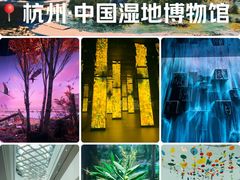 -中国湿地博物馆