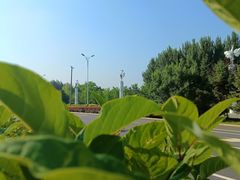 -丁香湖公园