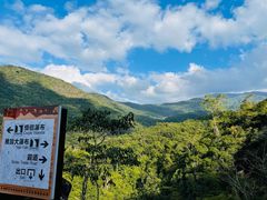 -海南霸王岭国家森林公园