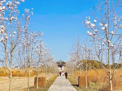 -广富林郊野公园