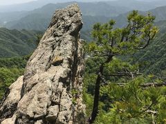 -王顺山国家森林公园