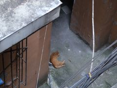 -白象居