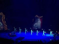 -珠海横琴长隆《卡卡虎奇遇记》