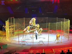 -珠海横琴长隆《卡卡虎奇遇记》