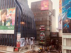 -蟹道乐(道顿堀本店)