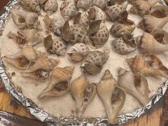 -渔傅印象滩涂霞浦海鲜(井大路店)