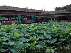iphone_upload_pic-荷香居(洞企石路店)
