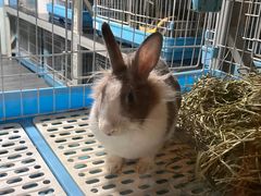 -雨林宠物医院 非犬猫异宠专科