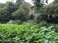 -忆秦园小笼包(惠山古镇总店)