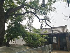 -zarah(鼓楼店)