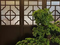 -悦满楼·西关名点·湛江名菜(航空综合大厦店)