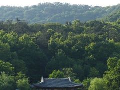 -紫霞湖公园