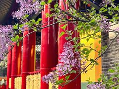-西安市广仁寺