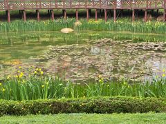 -花果园湿地公园