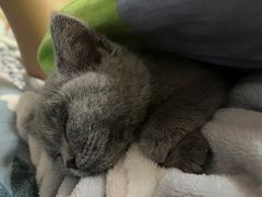 -菲尔斯特宠物医院