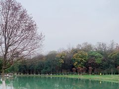 -金陵矩阵(聚宝山公园店)