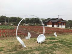 -鹅湖玫瑰文化园