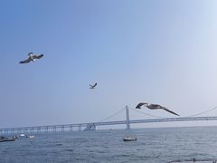 -星海广场