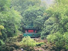 -MAMACHA妈妈茶(岳麓山店)
