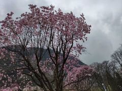 -九皇山景区