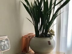 -瑶舍头疗·瑶浴·芳香热石SPA(五洲国际店)