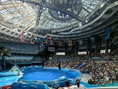 -海合安成都极地海洋公园