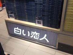 -关西国际机场直营免税店